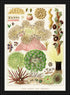 Ornate Black Wood Framed Great Barrier Reef Anemones Vintage Illustrations Wall Art Prints